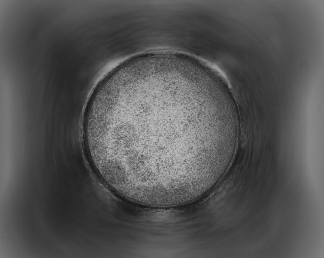 X0000086981279200705071409