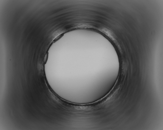 X0000086981281200705071409