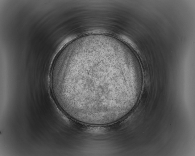 X0000086981282200705071409