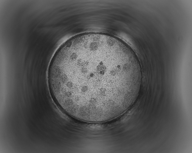 X0000086981283200705071409