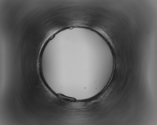 X0000086981285200705071409