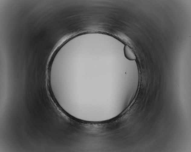 X0000086981286200705071409