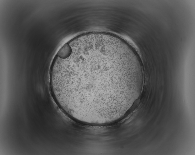 X0000086981287200705071409