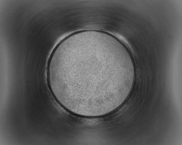 X0000086981288200705071409