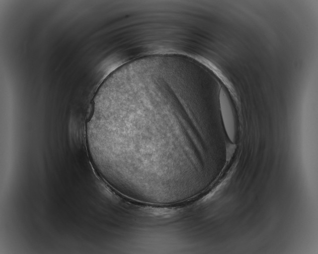 X0000086981289200705071409