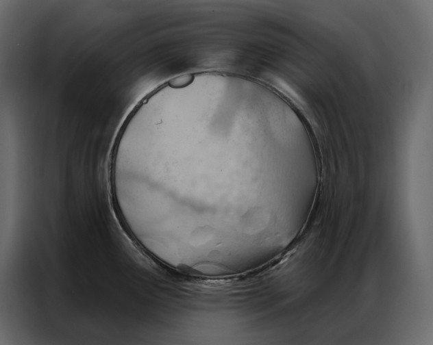 X0000086981291200705071409