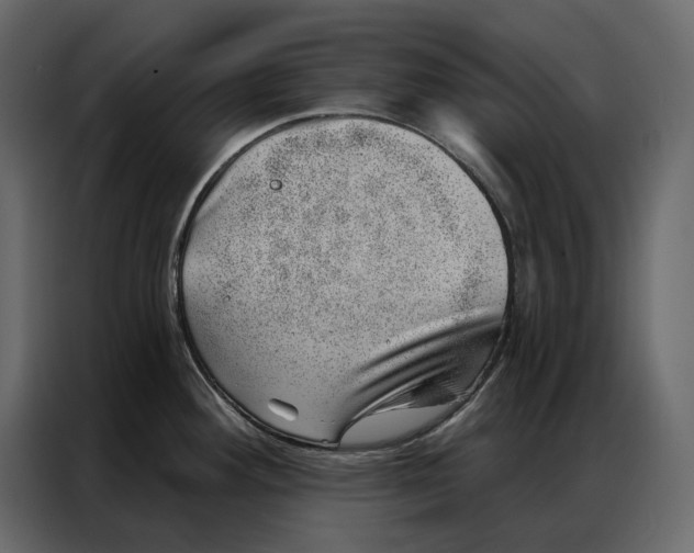 X0000086981292200705071409