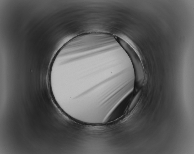 X0000086981293200705071409