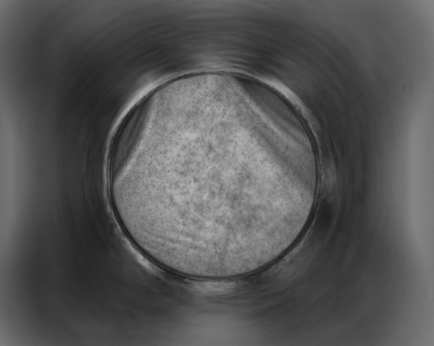 X0000086981294200705071409