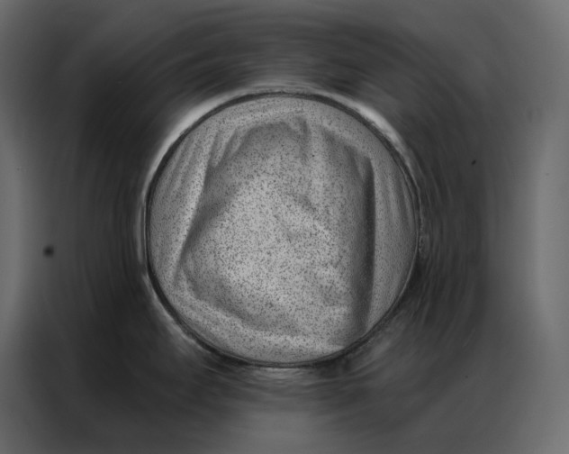 X0000086981295200705071409