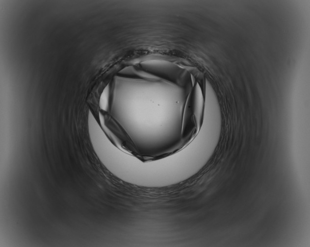 X0000086981298200705071408