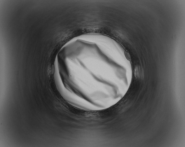 X0000086981299200705071408