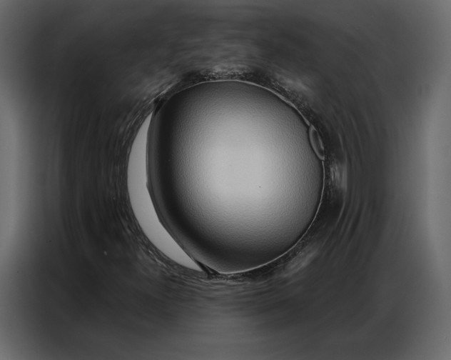 X0000086981300200705071408