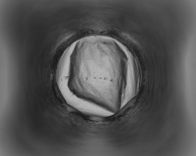 X0000086981302200705071409