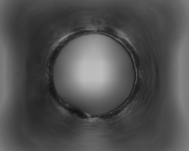 X0000086981304200705071409