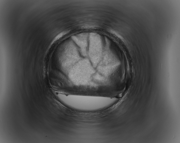 X0000086981306200705071409