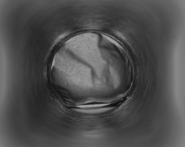 X0000086981307200705071409