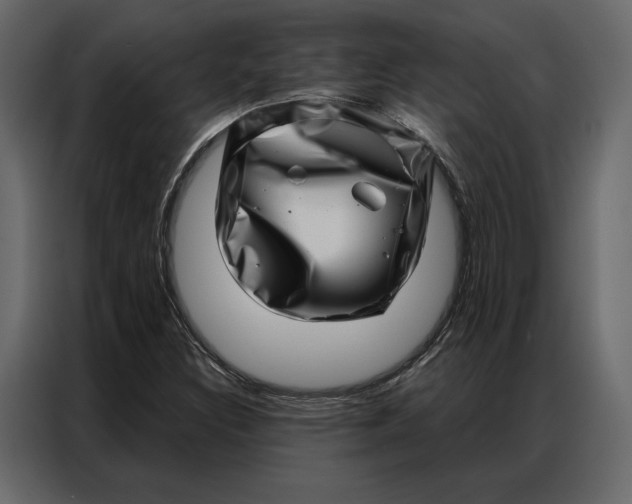 X0000086981308200705071409