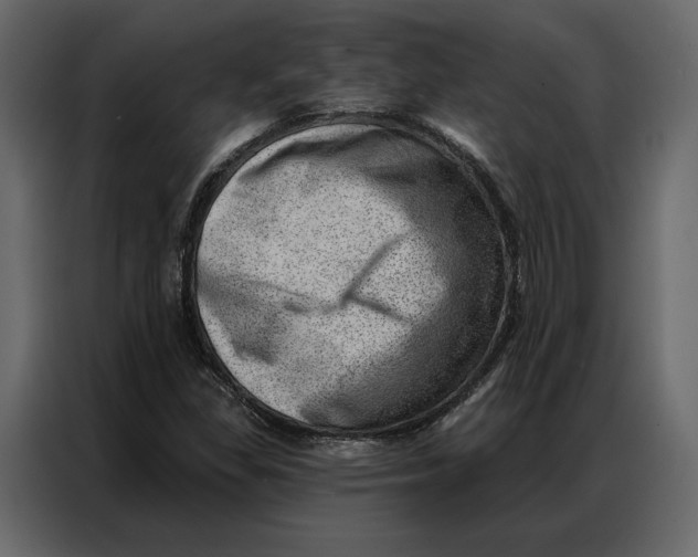 X0000086981309200705071409