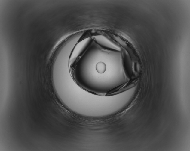 X0000086981310200705071409