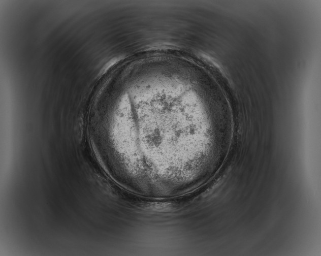 X0000086981313200705071409