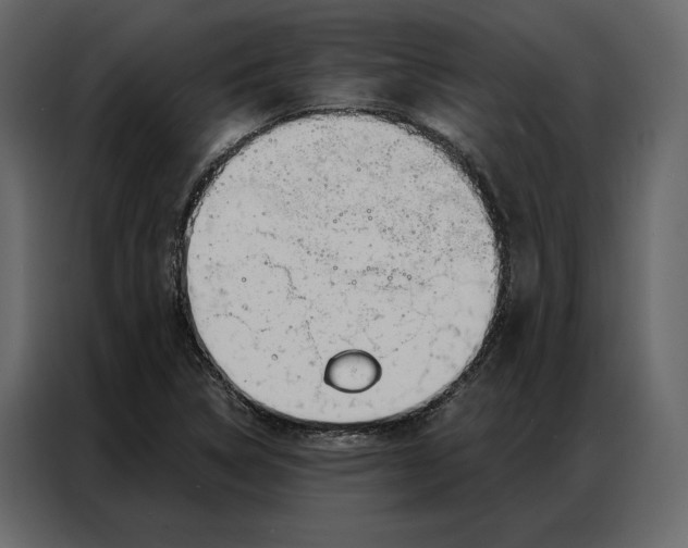 X0000086981314200705071409