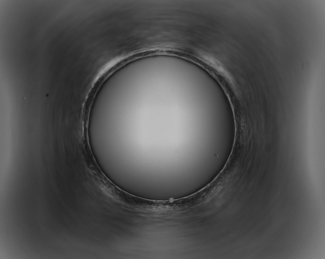 X0000086981316200705071409