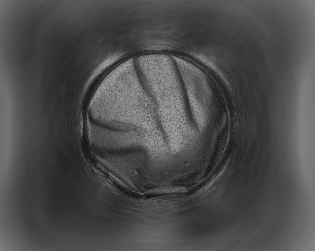 X0000086981317200705071409