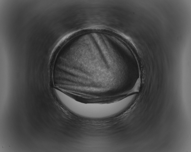 X0000086981319200705071409