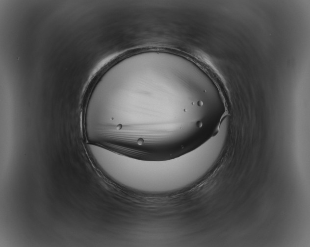 X0000086981320200705071409