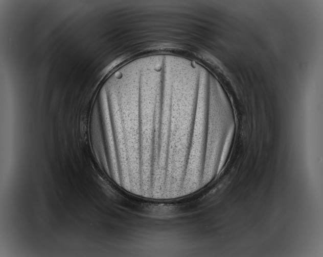 X0000086981321200705071409