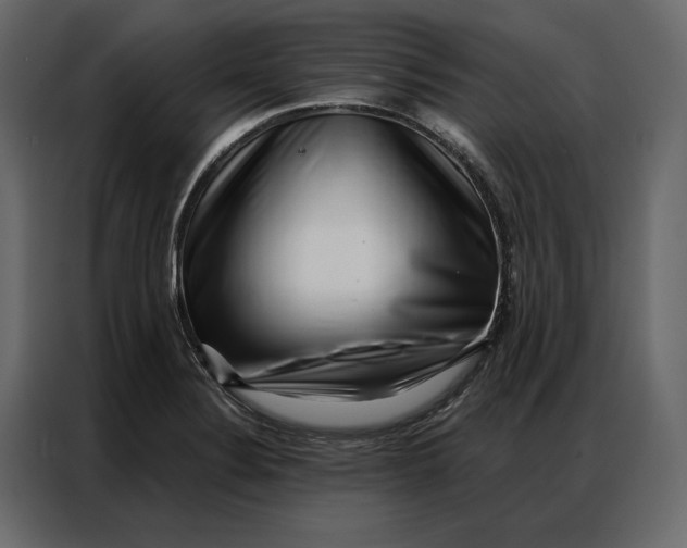 X0000086981324200705071409