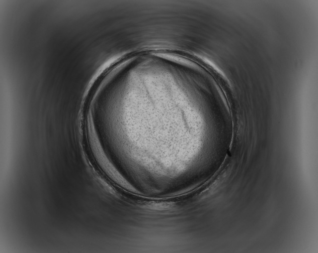 X0000086981325200705071409