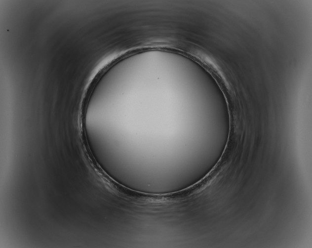 X0000086981328200705071409