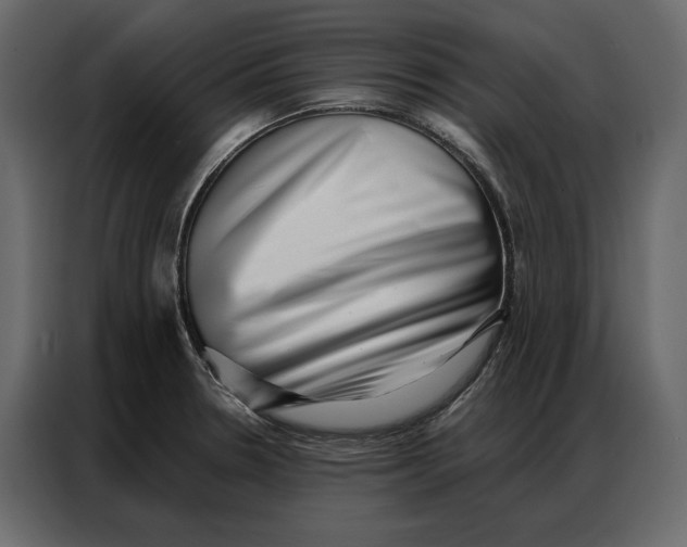 X0000086981330200705071409