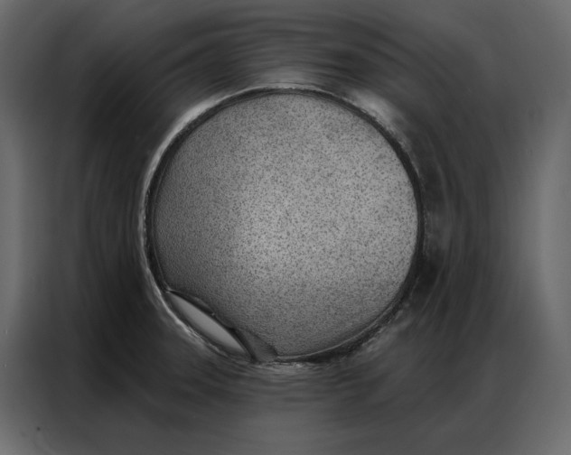 X0000086981331200705071409