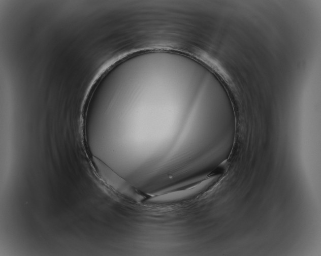 X0000086981332200705071409