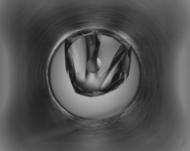 X0000086981334200705071409