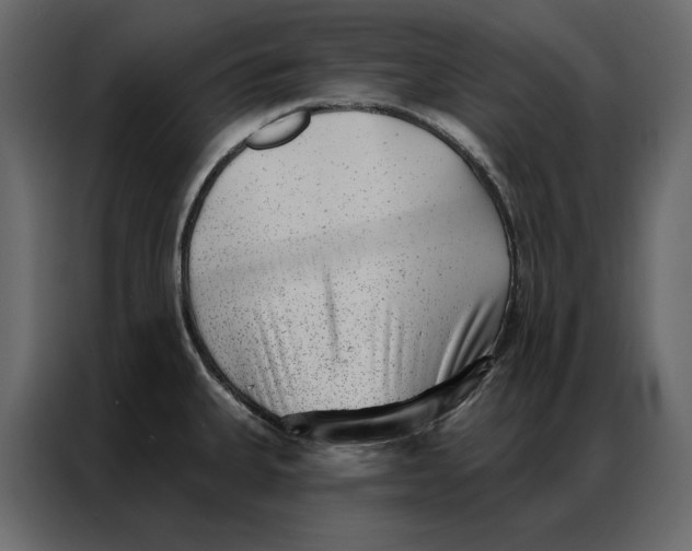 X0000086981335200705071409