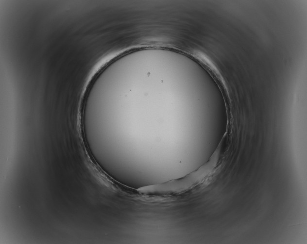 X0000086981336200705071409