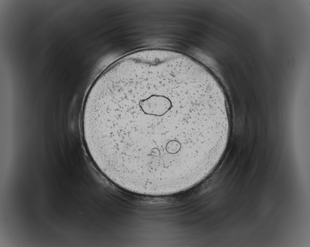 X0000086981338200705071409