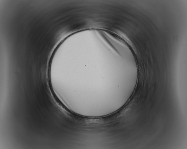 X0000086981339200705071409