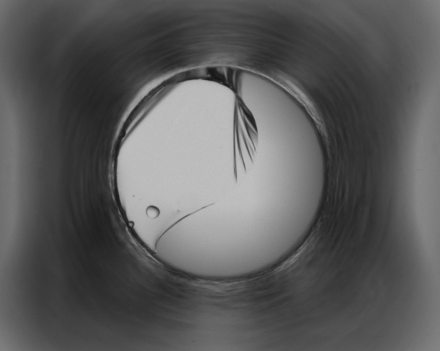 X0000086981340200705071409