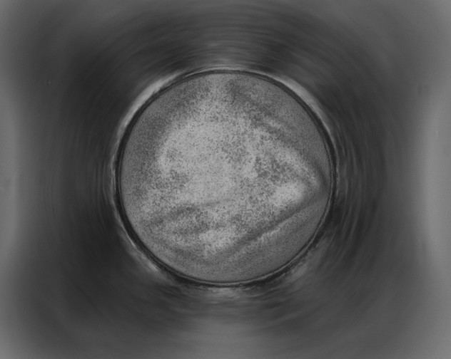 X0000086981341200705071409