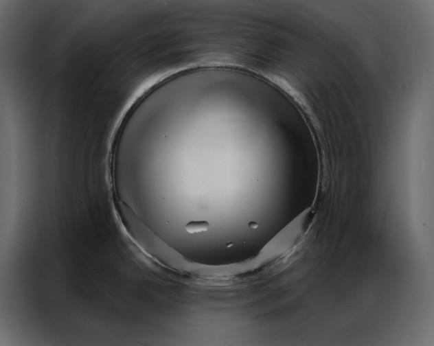 X0000086981342200705071409