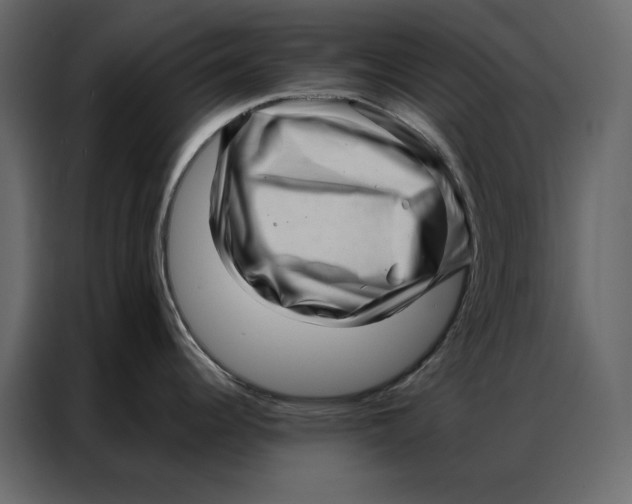 X0000086981344200705071409