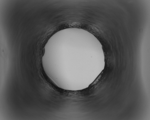 X0000086981345200705071408