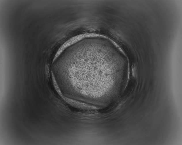 X0000086981347200705071408