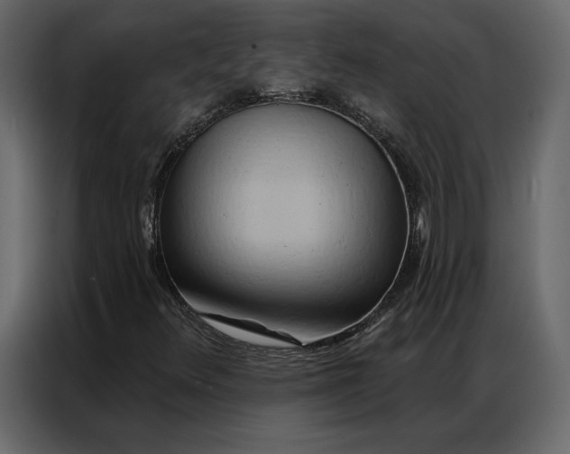 X0000086981348200705071408