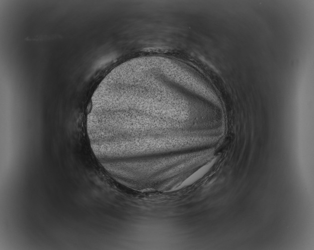 X0000086981351200705071408